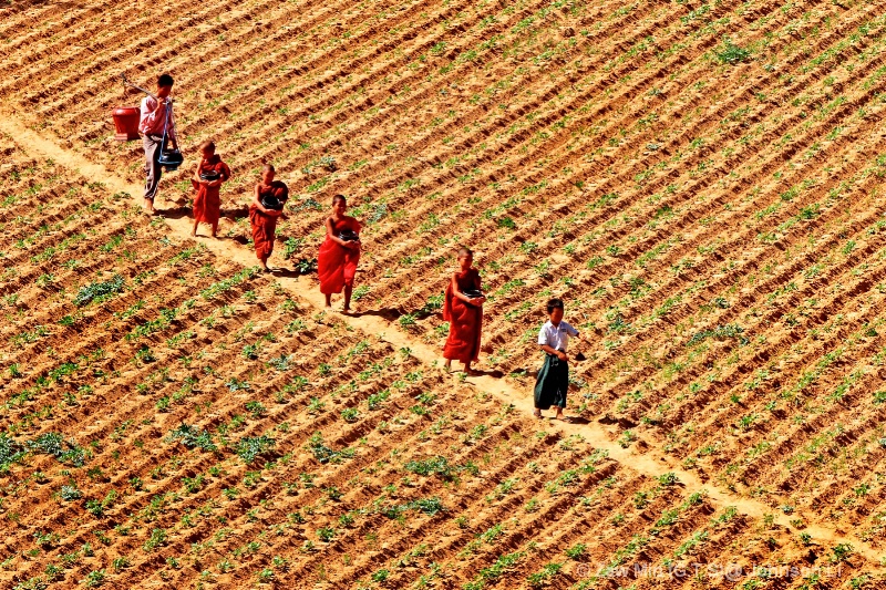 culture of myanmar