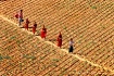 culture of myanma...