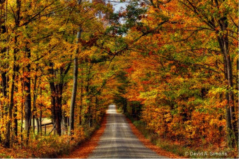 Early Autumn