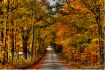 Early Autumn