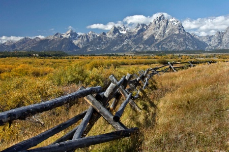 Teton View