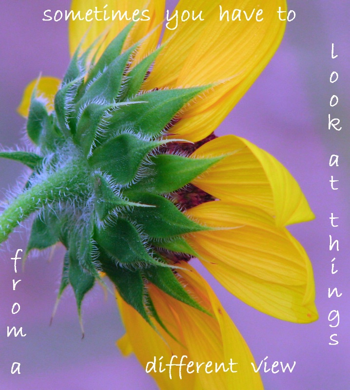 Inspirational Sunflower