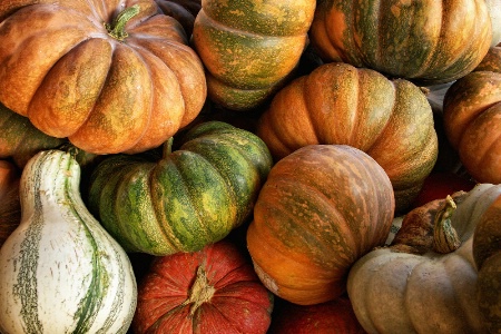 Autumn Squash