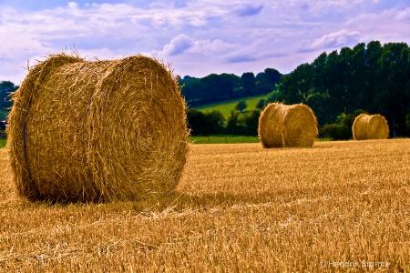 Harvest