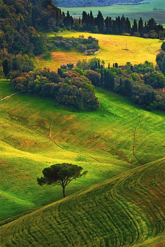 Tuscany Rural Landscape