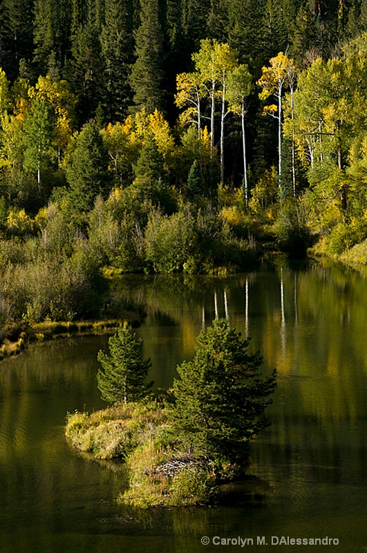 Just a scene in Aspen