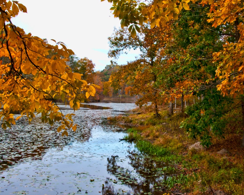 Fall View of Lake Hope