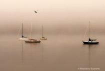 January 2014 Photo Contest 2nd Place Prize Winner