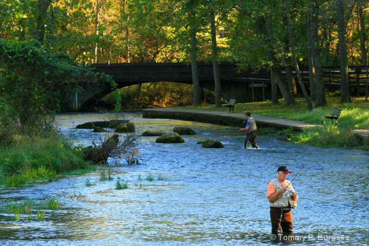 Angling in September