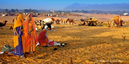 Village Life In Rajasthan