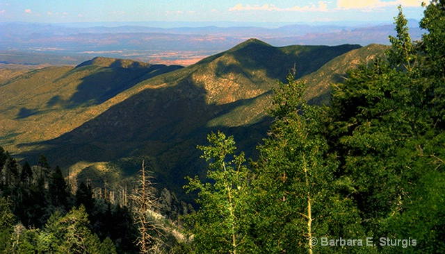 Mountain Shadows