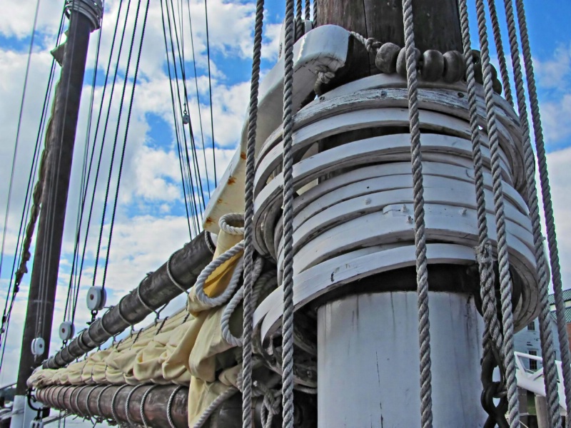 Before The Mast