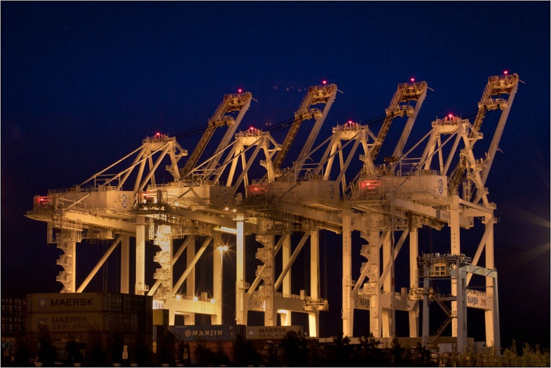 Shipping cranes