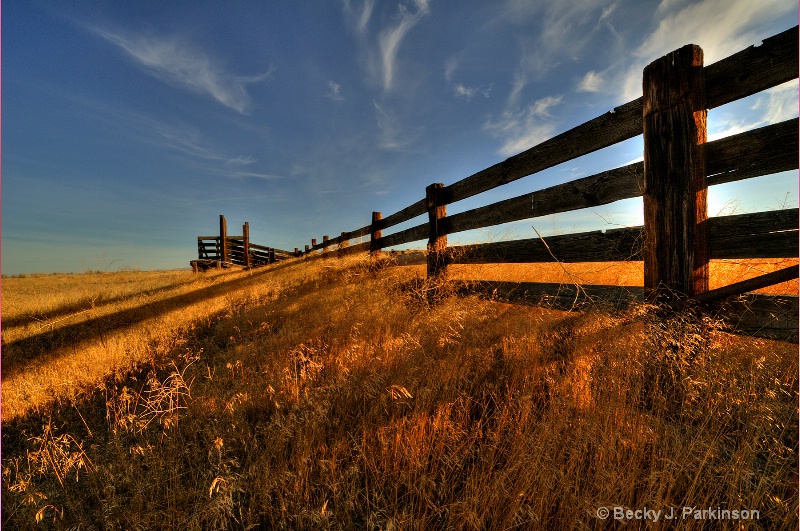 Corral