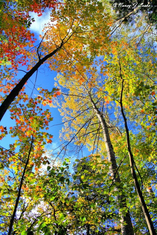 Autumn in Northern Michigan