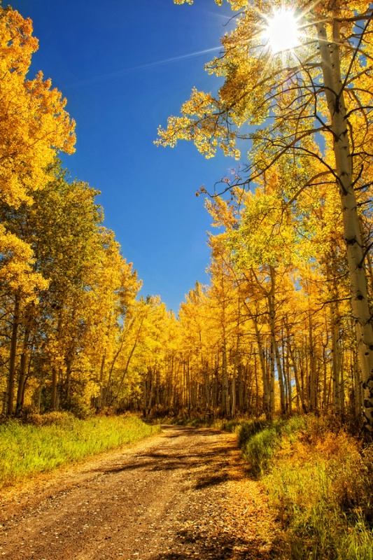 Sunny Autumn Day