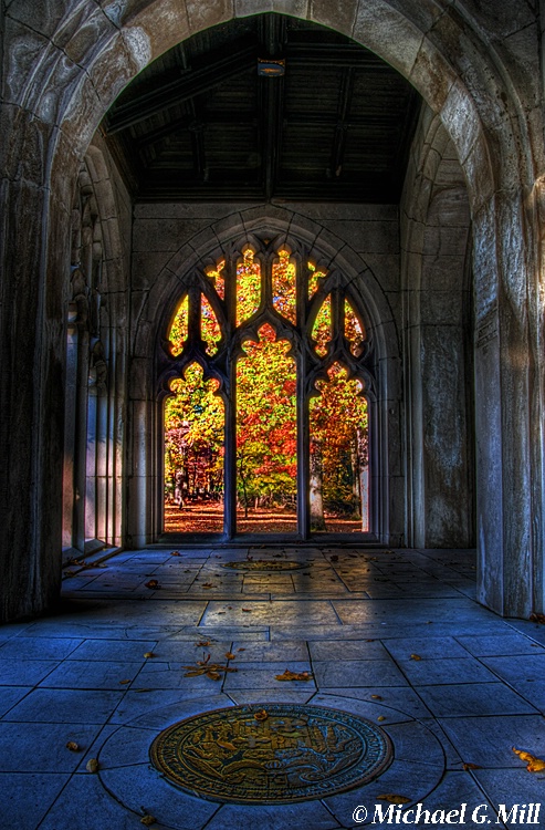 Natures Stained Glass Window