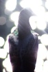 Feather Doll
