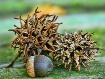 Signs of Autumn