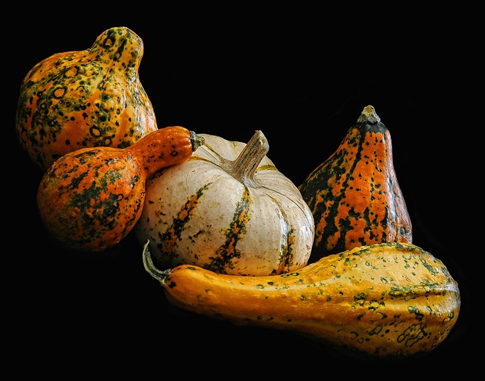 Spicy Gourds