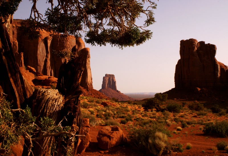 Juniper Frame - ID: 10889419 © Sharon L. Langfeldt