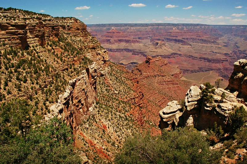 ~Canyon View II~