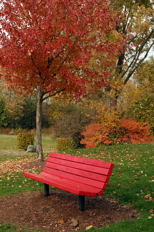 ~Red Bench~