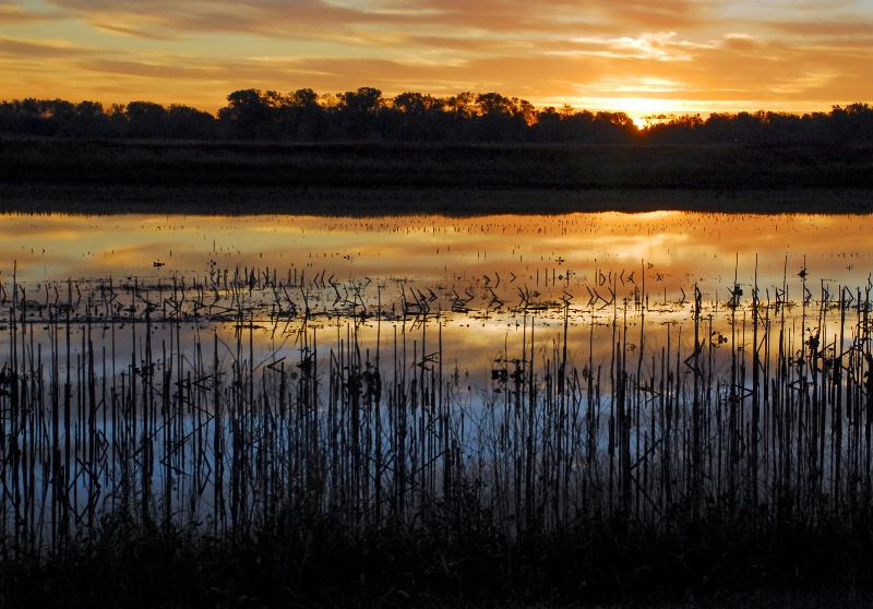 Flooded with color