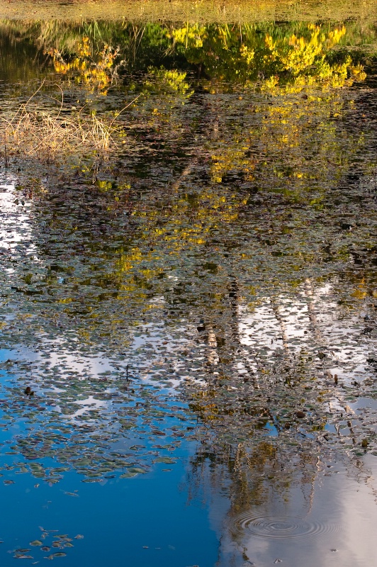  Moods of the Pond #2 -- Crisp Fall Day