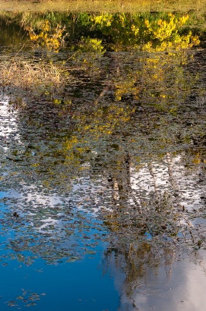  Moods of the Pond #2 -- Crisp Fall Day