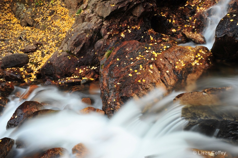 aspen leaves waterfall