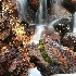 © Lisza M. Coffey PhotoID# 10902673: guanella pass waterfall