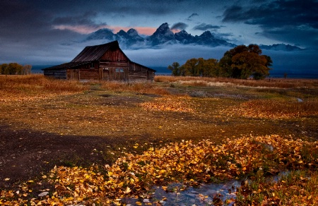Autumn