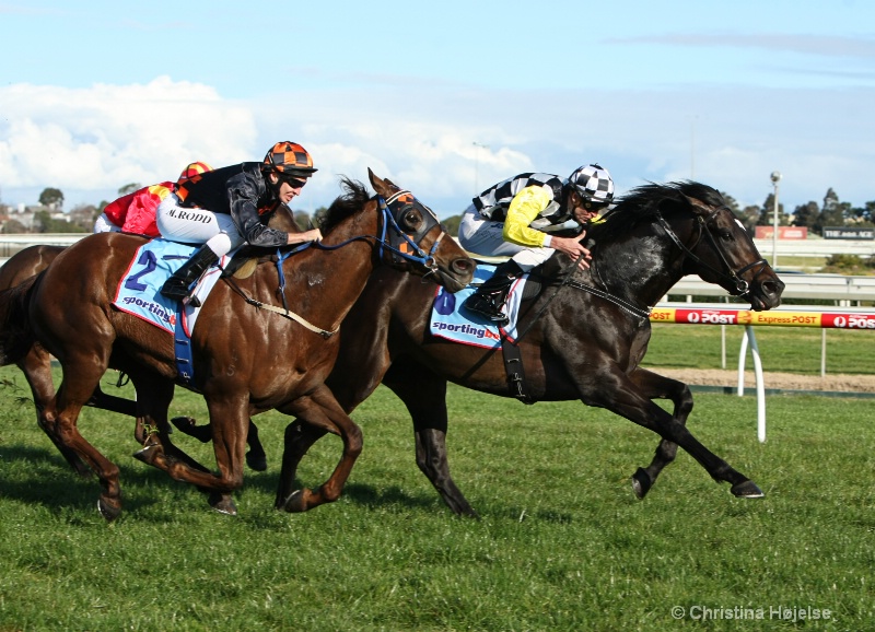 SoYouThink in Memsie Stakes AU