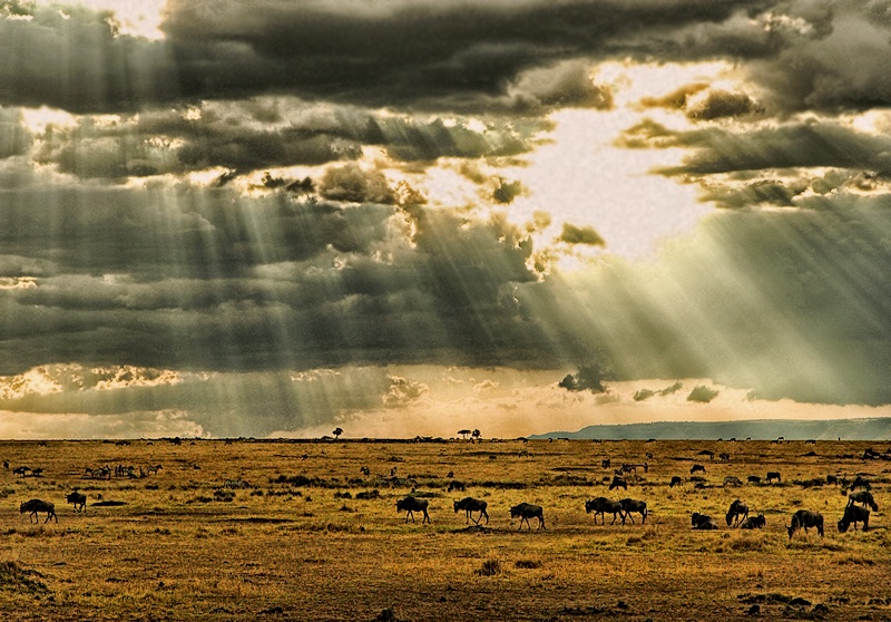 African Sky