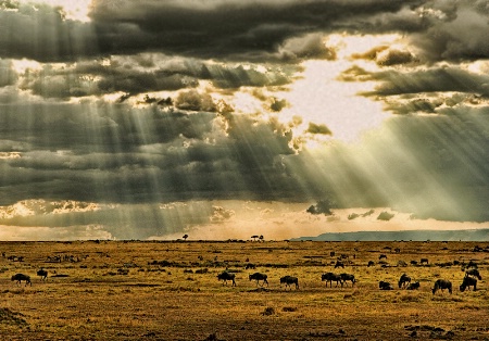 African Sky