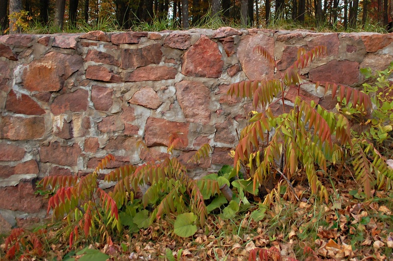 ~Autumn Wall~ 