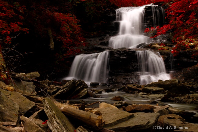 Red Autumn