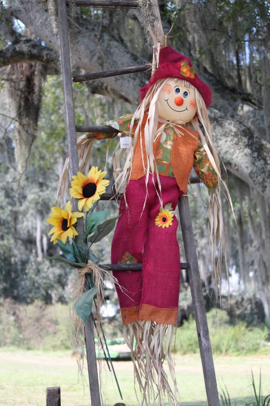 Fall Festive Scarecrow - ID: 10914216 © Tracy Bazemore