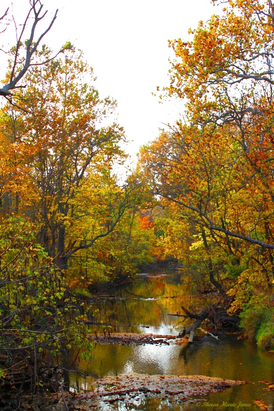 Creek in the Fall - ID: 10914669 © Theresa Marie Jones