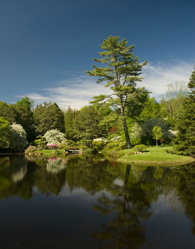 Azalea Garden,Maine