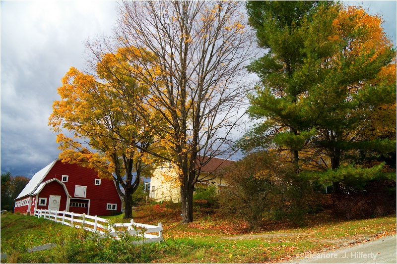Farm in Moretown, Vermont during Foliage Season - ID: 10920725 © Eleanore J. Hilferty