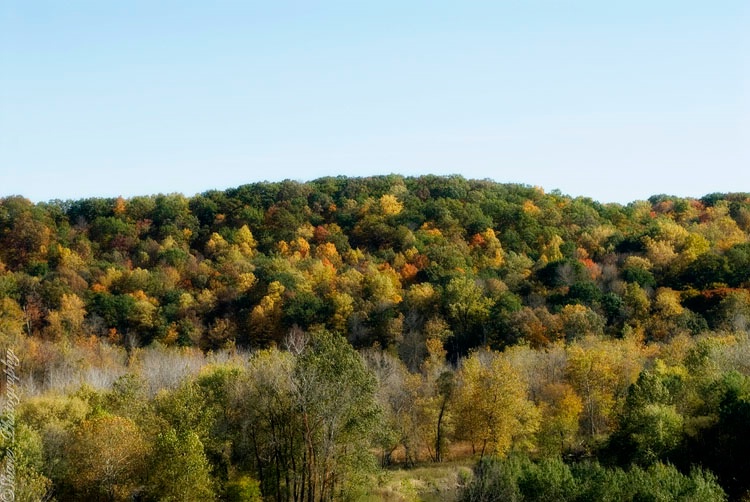 The Hills Are Alive-With The Colors Of Autumn