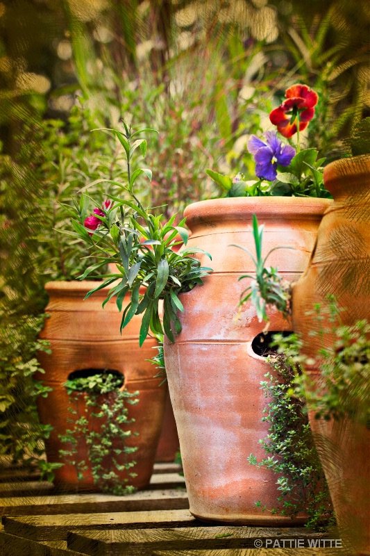 clay pot garden