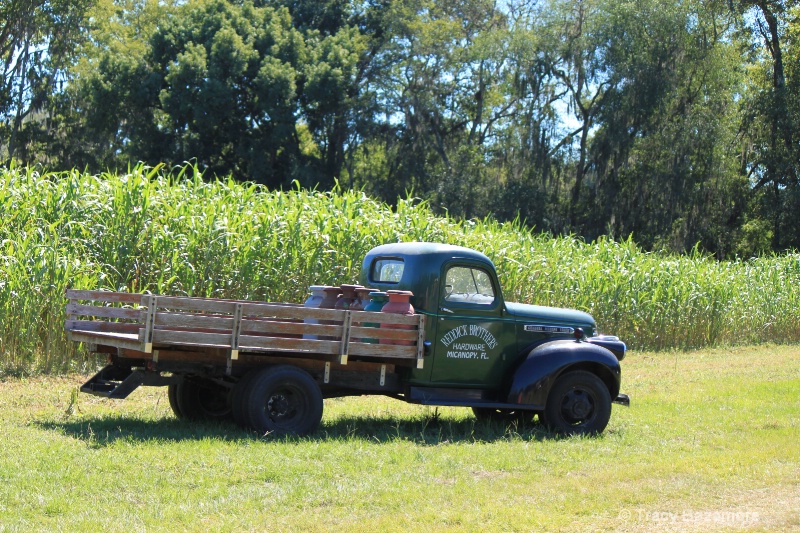 Old Truck - ID: 10932761 © Tracy Bazemore