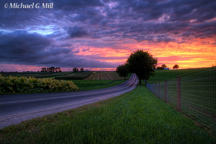 Country Road Sunset 
