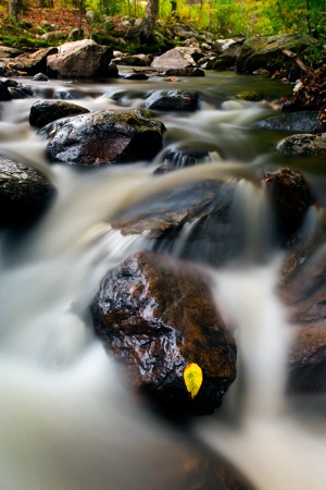 Little Black Brook