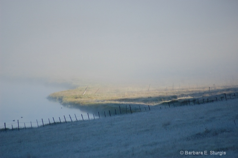 Morning Mist