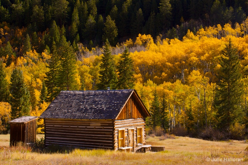 Cabin on Golden Land