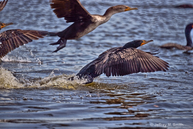 Down Side of a 500mm